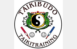 Taikitraining