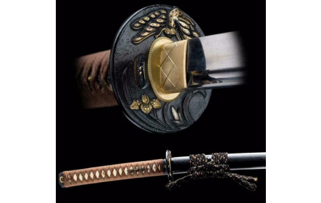 Stage Iaido samedi 10 mai